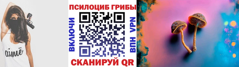 Галлюциногенные грибы прущие грибы  ссылка на мегу как зайти  Черногорск  продажа наркотиков 
